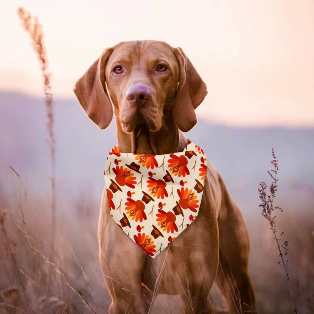 Dog Bandanas Thanksgiving Puppy Cat Dog Bibs for Small Dog Scarf Cozy Nylon Pumpkin Print Dog Accessories for Fall Pet Supplies