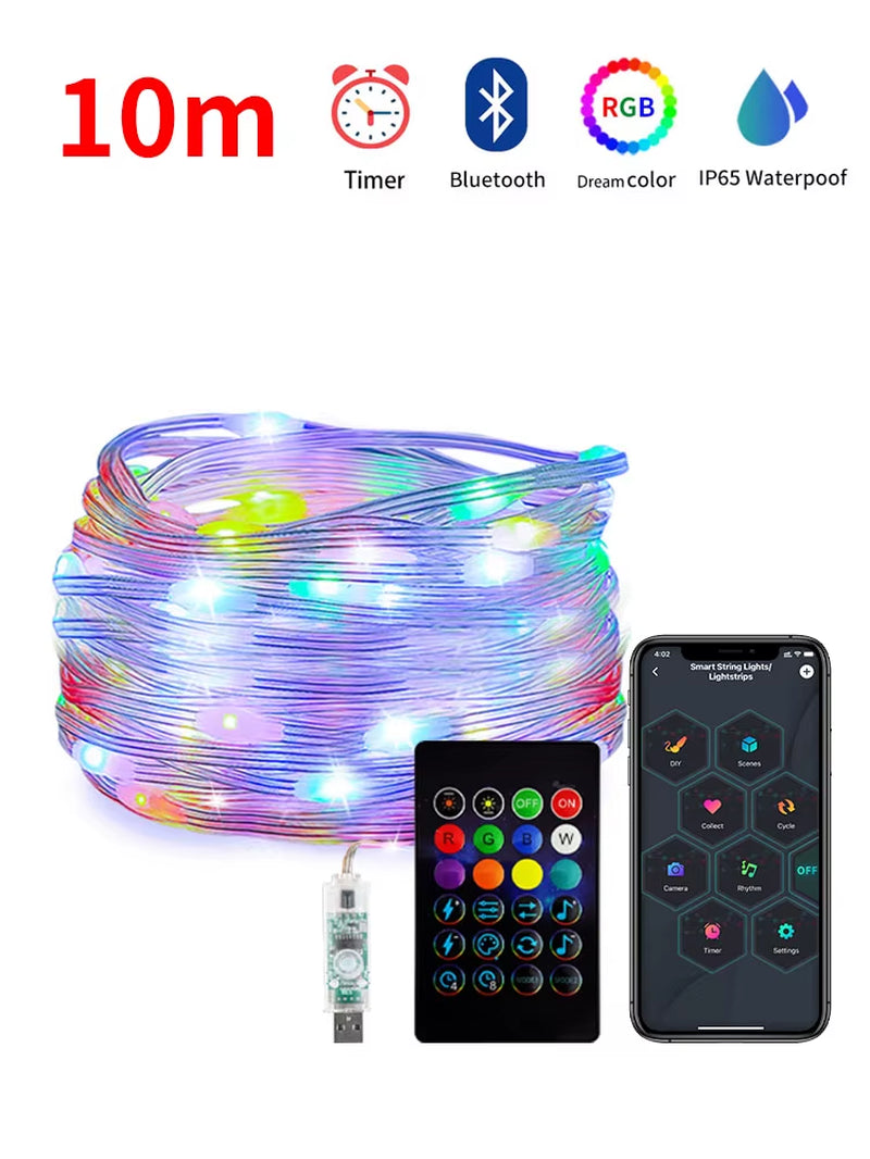 WS2812B USB LED Dreamcolor Fairy String Lights Bluetooth Christmas Lights Wedding Decoration Bedroom Holiday Lighting Waterproof